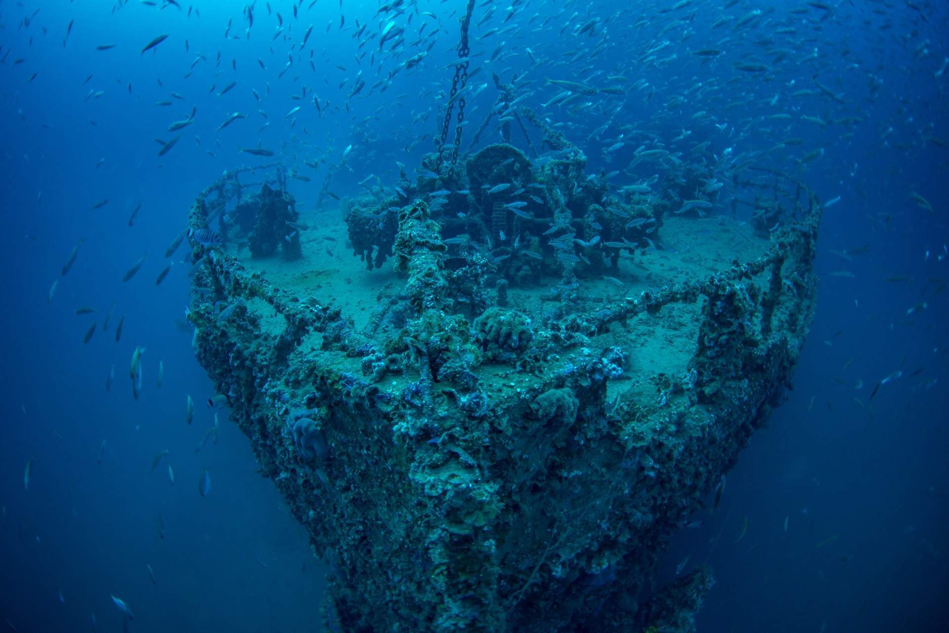 Shipwrecks - Snorkeling Adventure